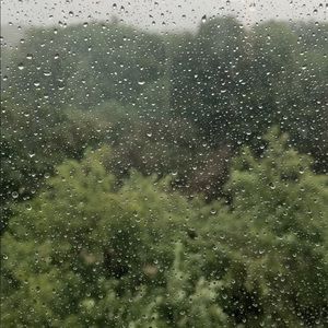 Meet your Posher, Sophie